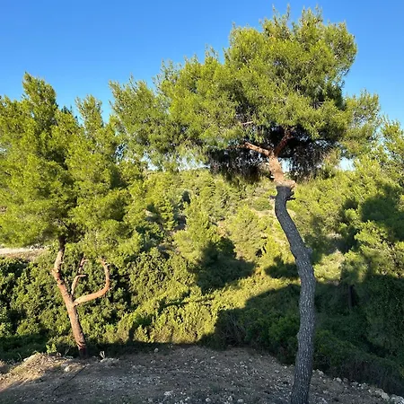 Hébergement de vacances Kritios *