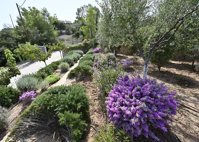 Casa vacanze Kritios *