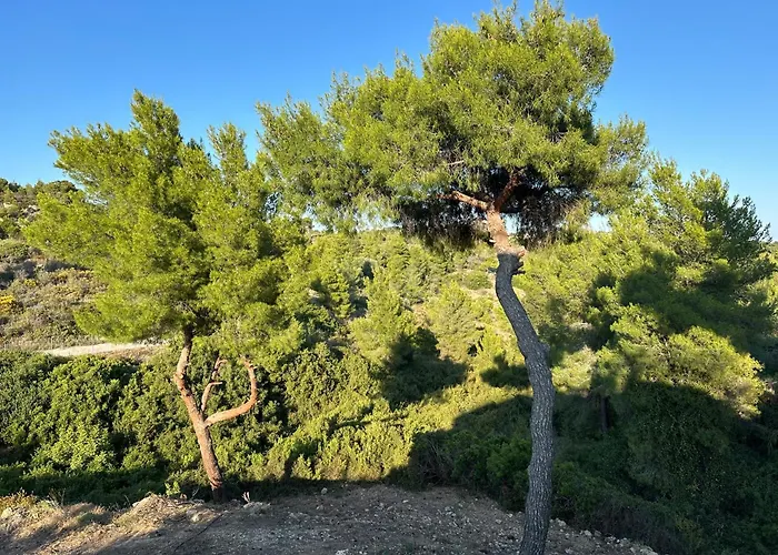 Hébergement de vacances Kritios *